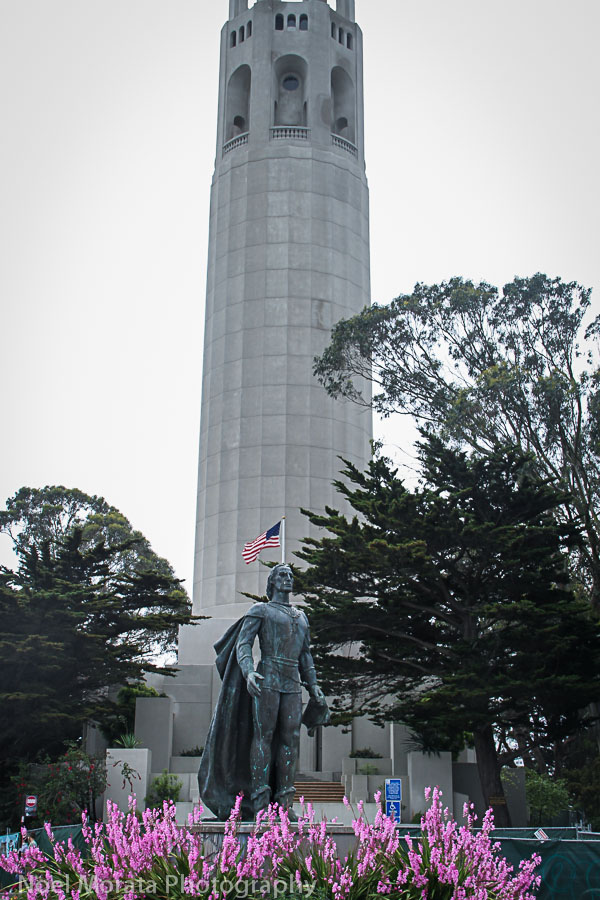Climb up Greenwich to Coit Tower