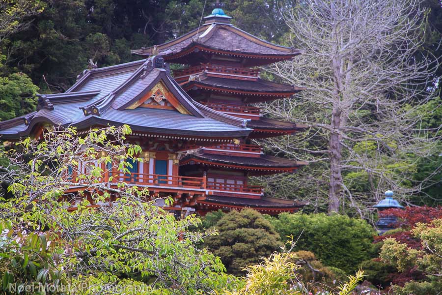 Pagodas at the Japanese tea garden