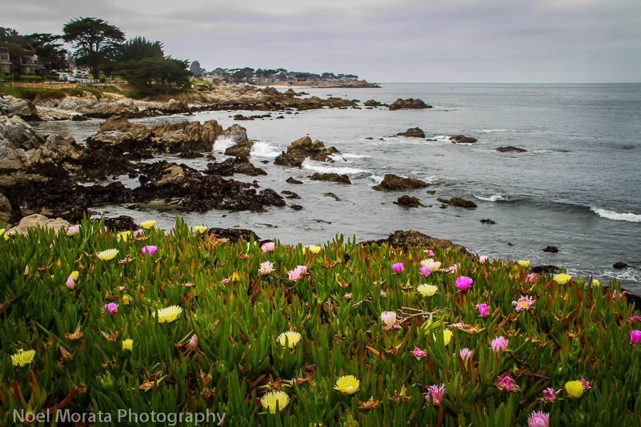 Pacific Grove looking out to Lovers Point