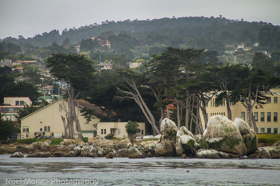 Coastal views of Monterey Bay