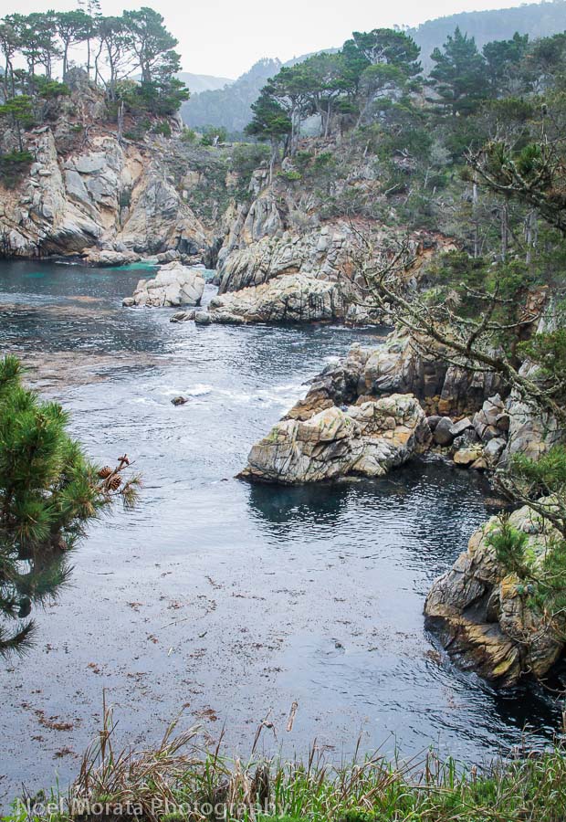 Inslet views at Point Lobos