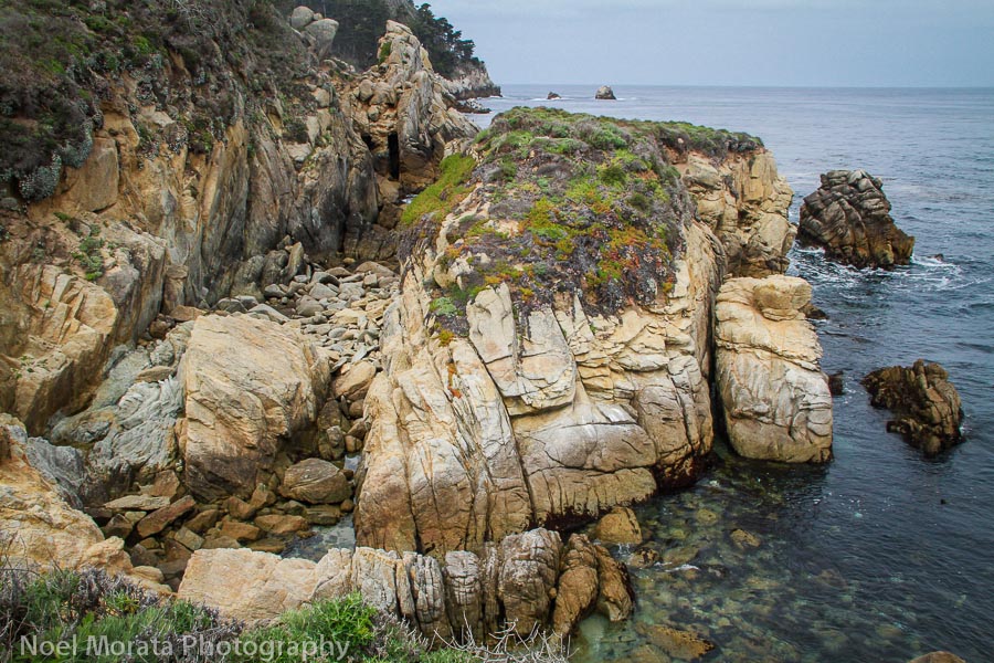Enjoying nature at Point Lobos Reserve