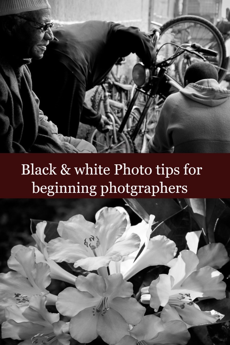 Black And White Photo Tips For Beginners