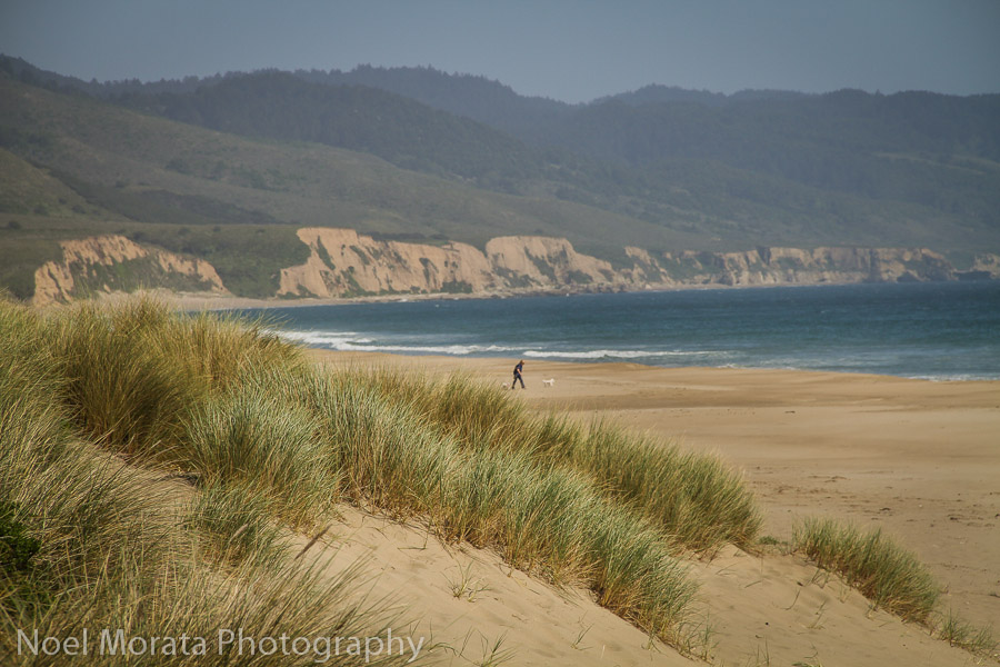  Limantour Beach and the sandy beaches of Drakes bay