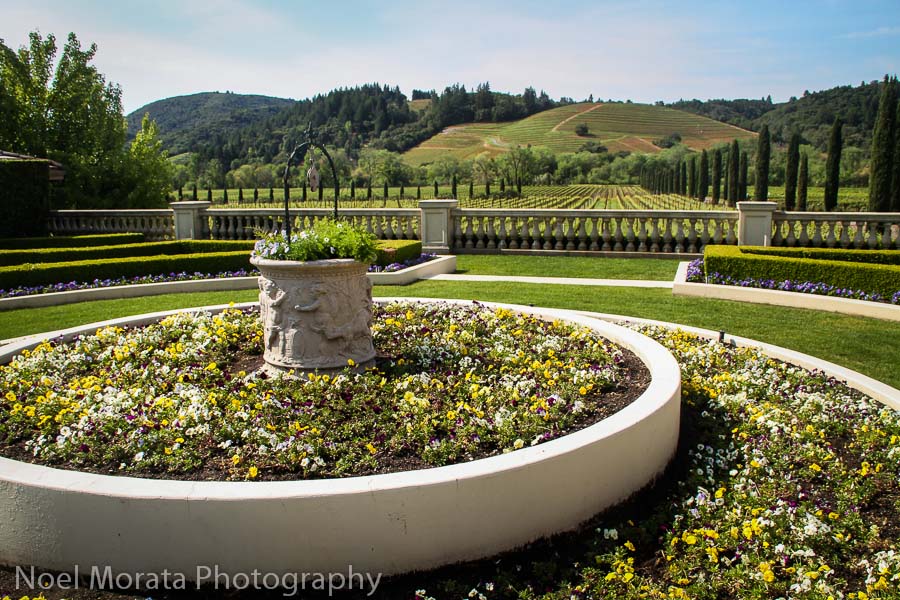 Entry garden and vineyards at Ferrari Carano winery