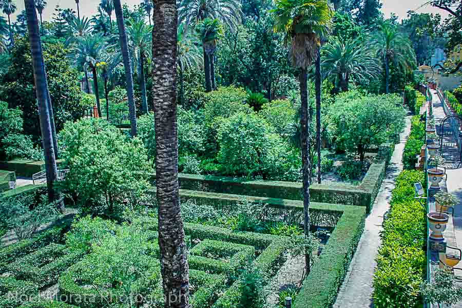 Seville, SpainSeville, Spain - Alcazar gardens