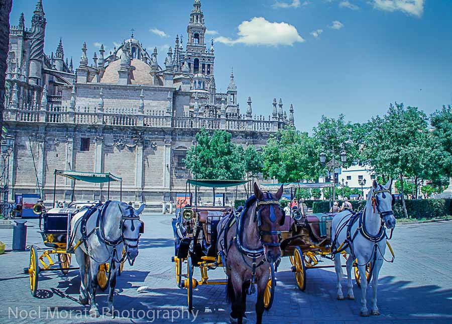 Seville, Spain Cathedral