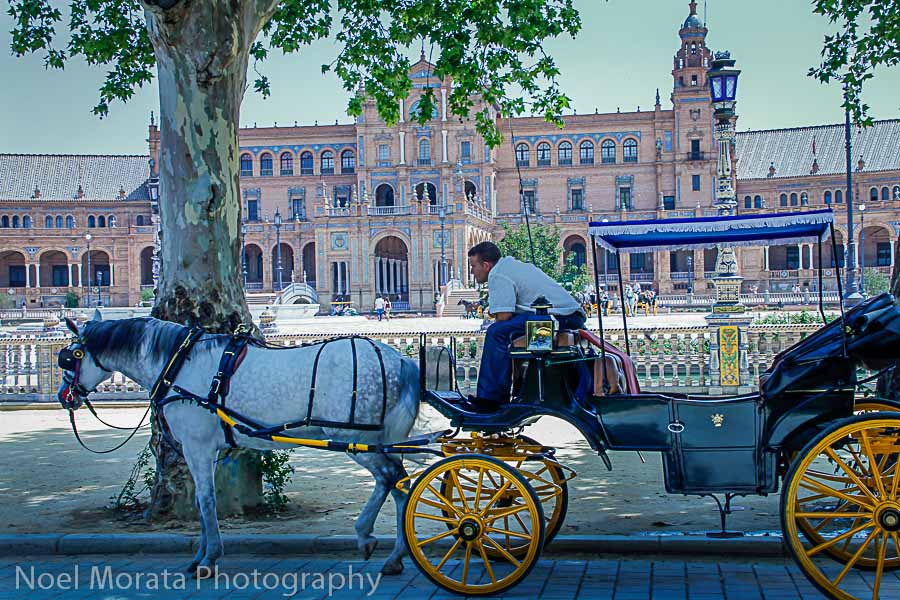 Horse carriages at Plaza de Espana waiting for riders