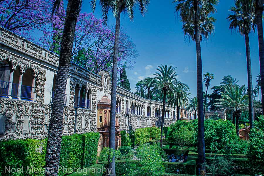 Lush gardens of the Alcazar in Seville