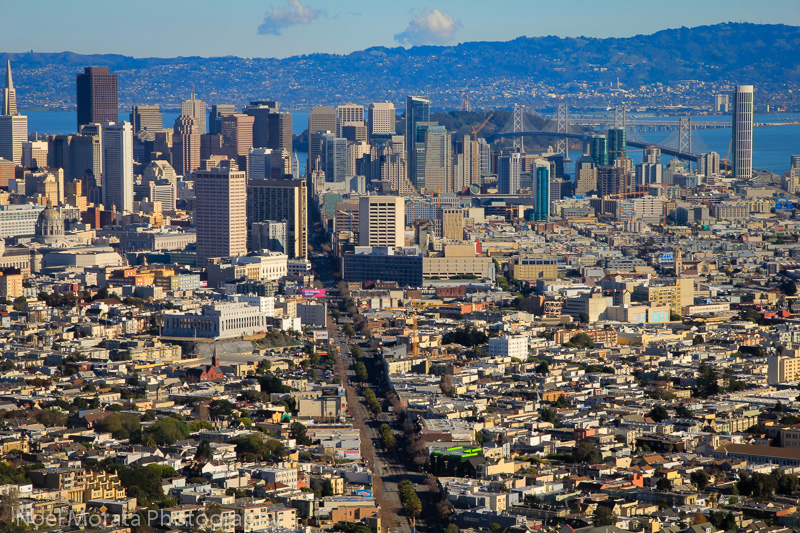 Hanging out in the hills of San Francisco