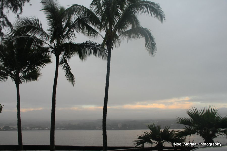 Iselle aftermath Big Island, Hilo after storm