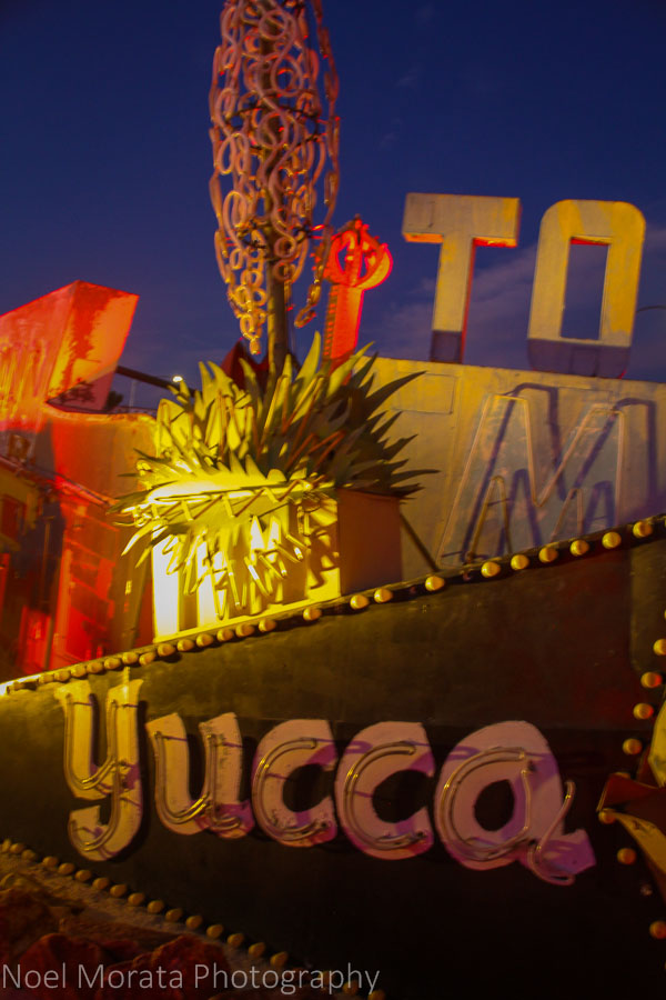 The Yucca at the Neon Museum