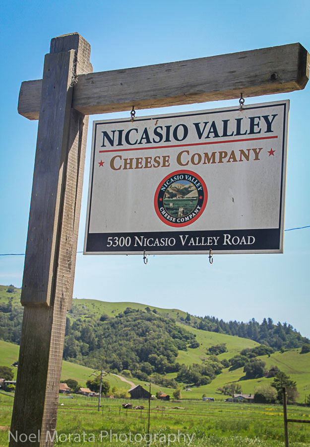 You have arrived Nicasio Valley cheese