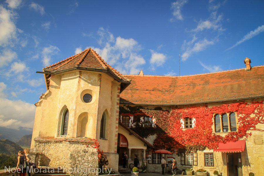 Main entry at Bled Castle with red ivy