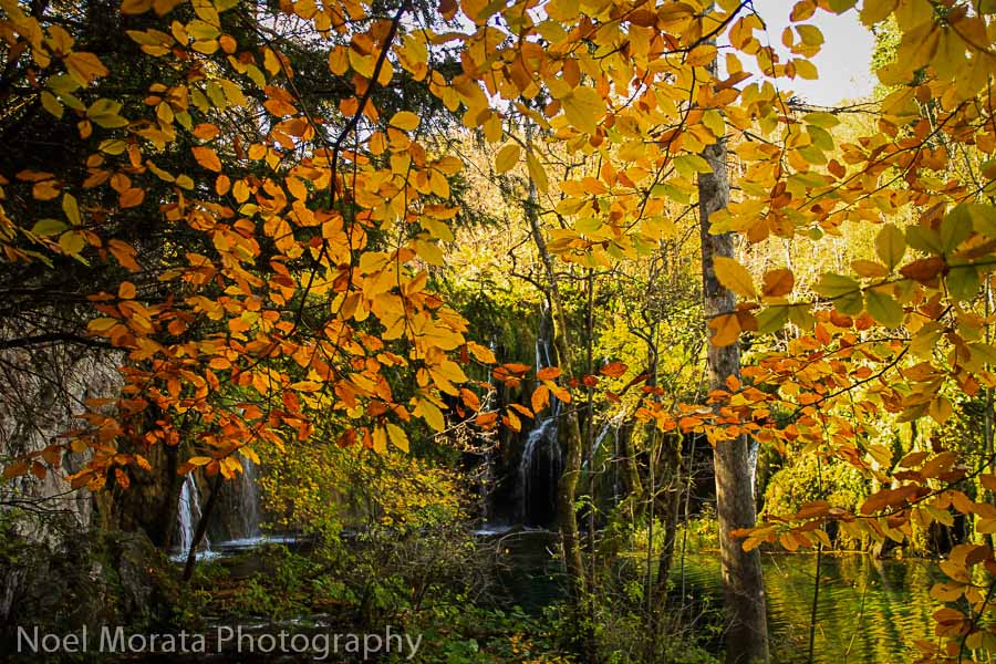 Amazing autumn colors at the waterfalls in the upper terrace of Plitvice