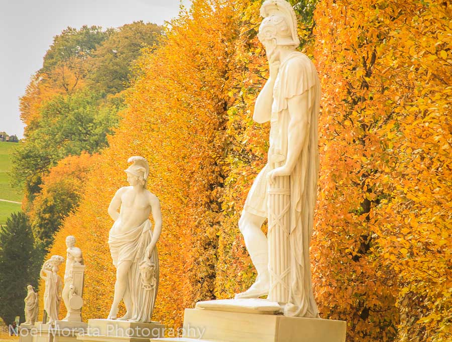A line of statues at the Schonbrunn gardens