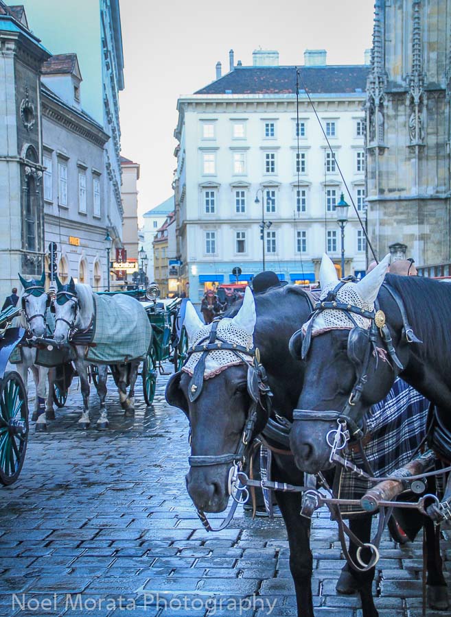 A horse drawn carriage ride through historic Vienna