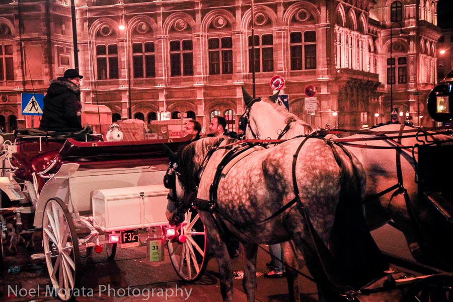 Carriage horse rides along the ring in Vienna