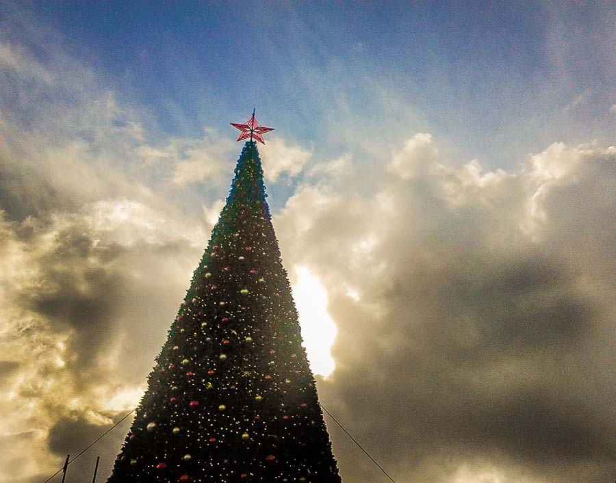 The Christmas tree at Union Square