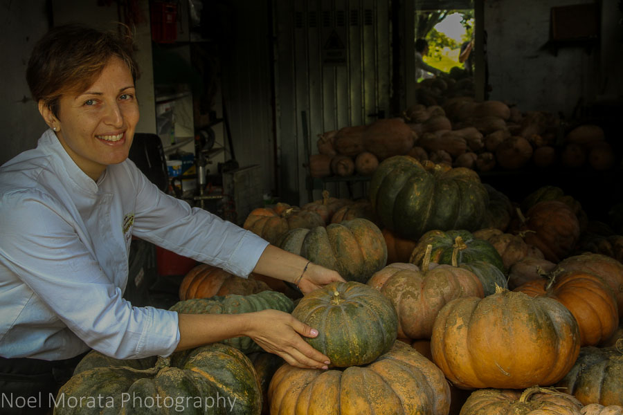 The pumpkin harvest at Podere San Giuliano 