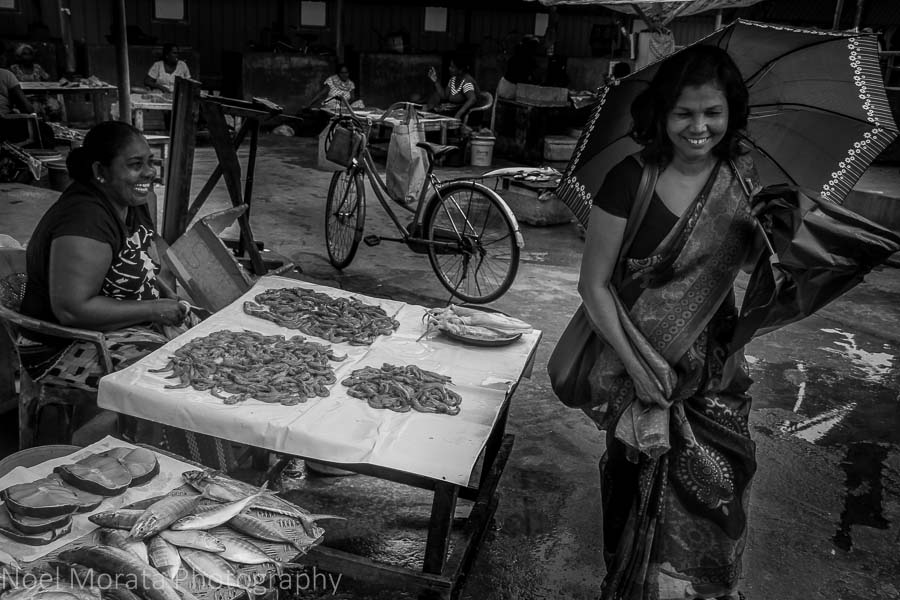 The fish market at Negombo, Sri Lanka