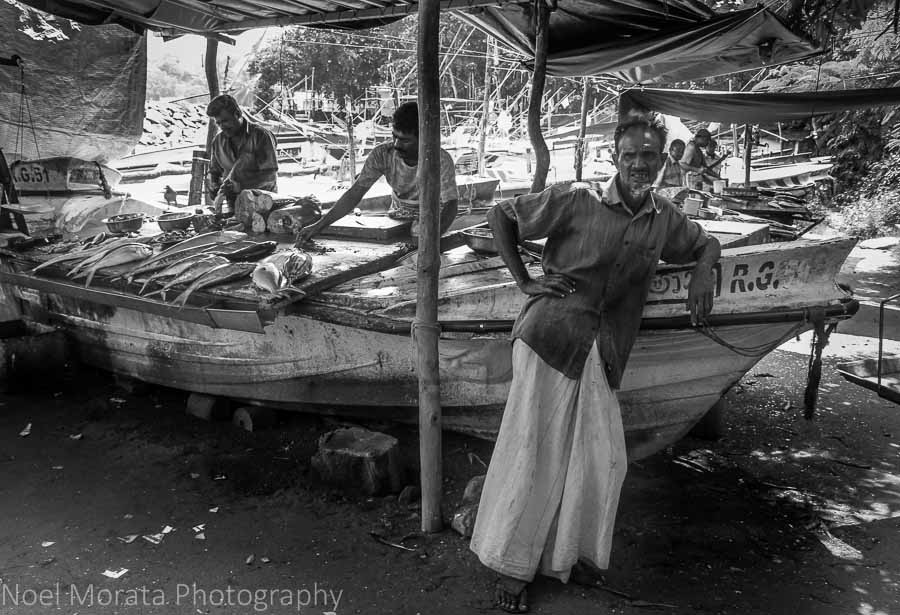Fish market at Galle, Sri Lanka