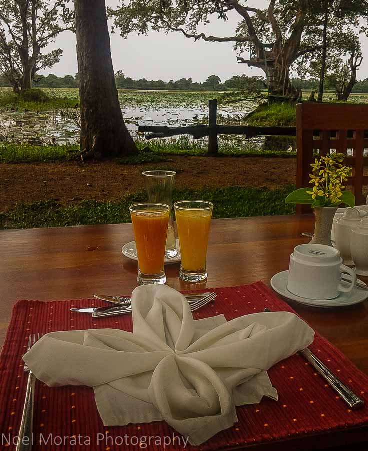 Breakfast with an island view, Cinnamon Lodge Habanara