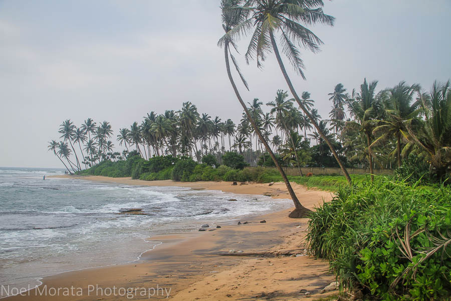 Beach at Jetwing LIghthouse in Galle