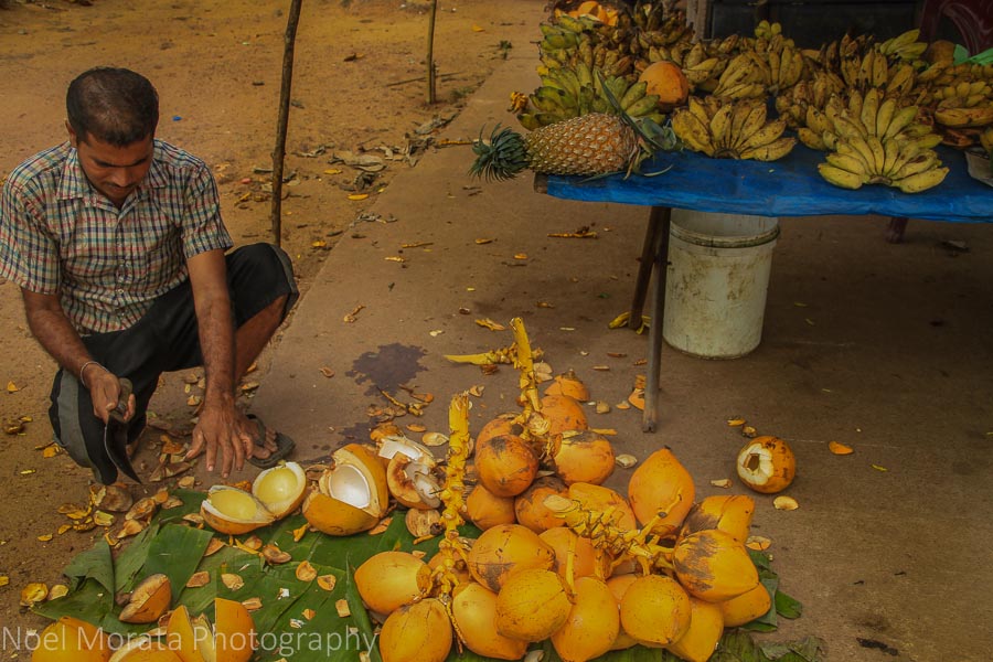 Negombo produce market