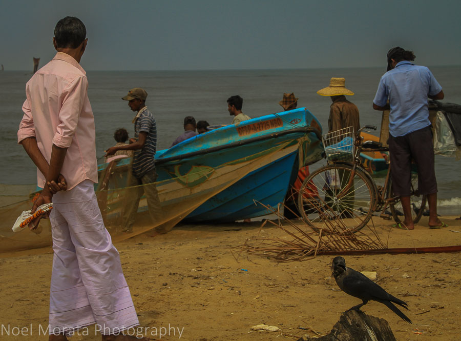 Busy Negombo beach scene close to the city center