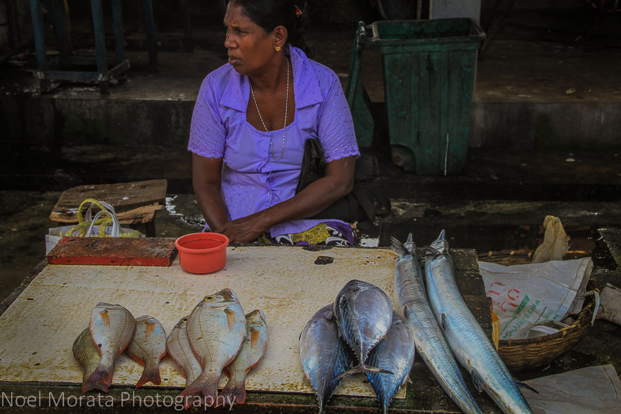 Colorful vendor at the Negombo fish market