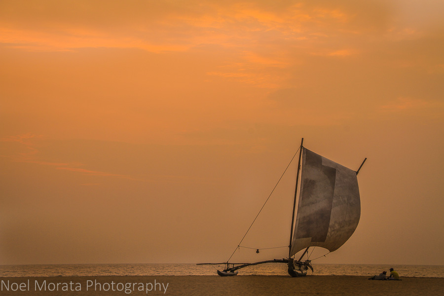 Sri Lanka sunset at Negombo