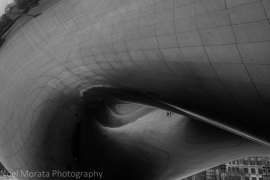 The Bean detail in black and white
