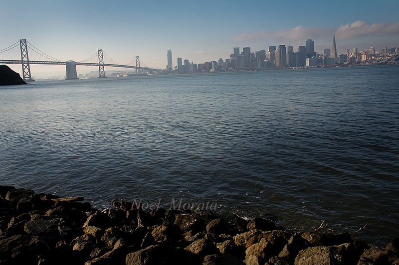 Treasure island landscape scene, San Francisco, California