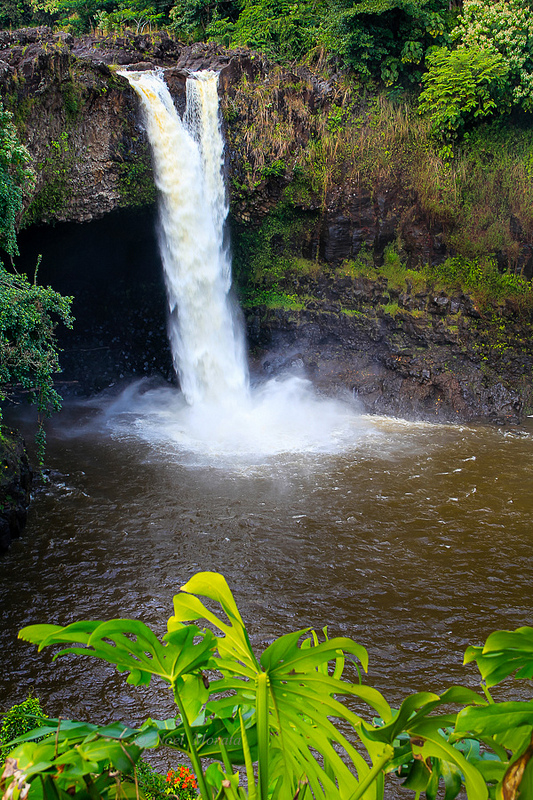 Rainbow falls trail in Hilo