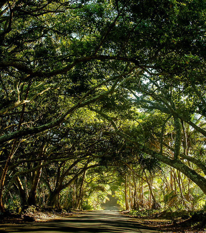 Kapoho Kalapana Road