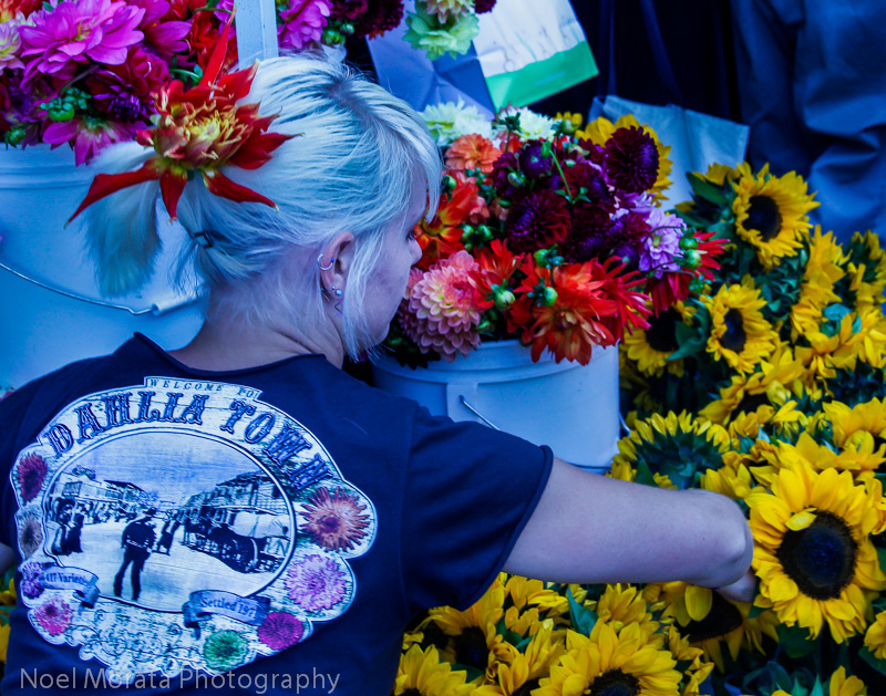 Ferry Plaza Farmers Market