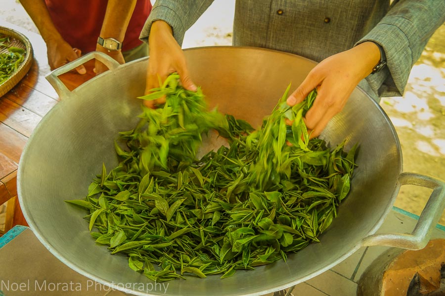 Dry roasting tea leaves and manually turning from a hot wok