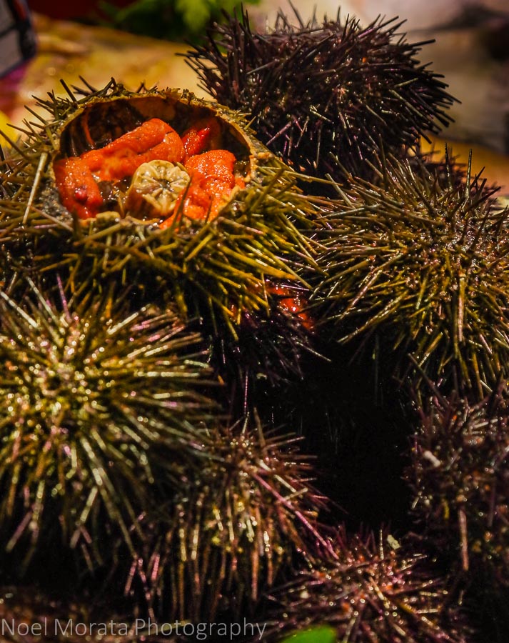 Fresh sea urchins at Les Marche St. Germain des Pres