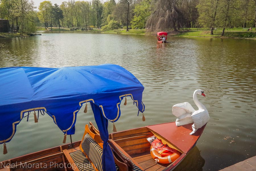 Swan boat rides at at Łazienki Park, Krakow