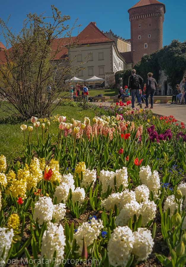 Krakow highlights in one day - Spring gardens fronting Krakow cathedral