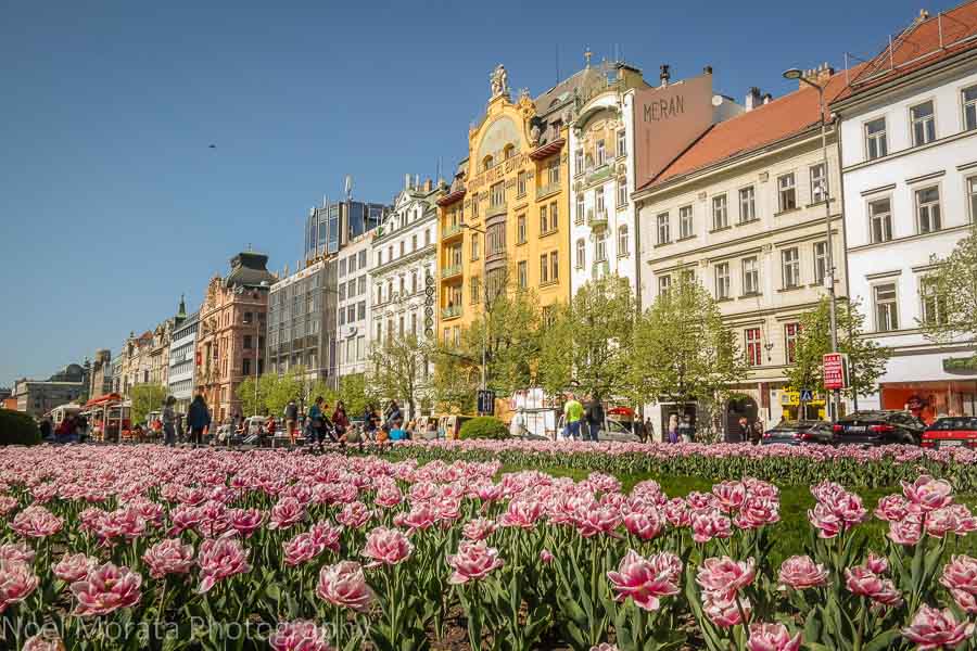 Touring Wenceslas square to our next foodie destination in Prague