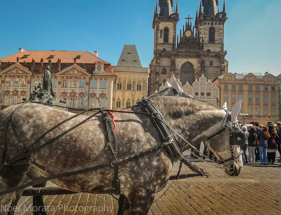 Carriage rides waiting in Prague's main square