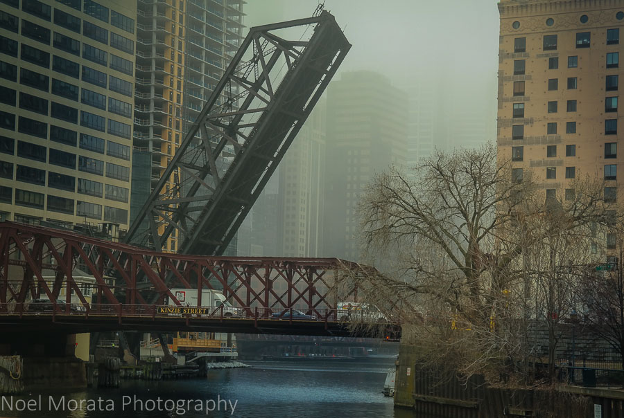 Bridges of Chicago - Chicago river cruise