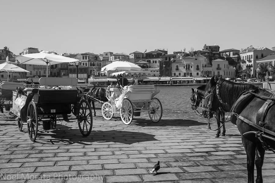 Carriage rides at Chania harbor - Exploring Chania, Crete