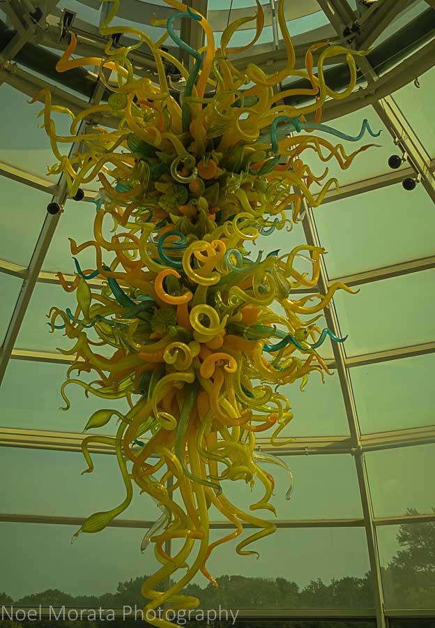 Main entrance with Dale Chihuly sculpture - Phipps conservatory tour