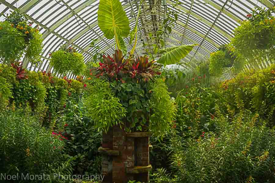 The elevated garden  at Phipps conservatory