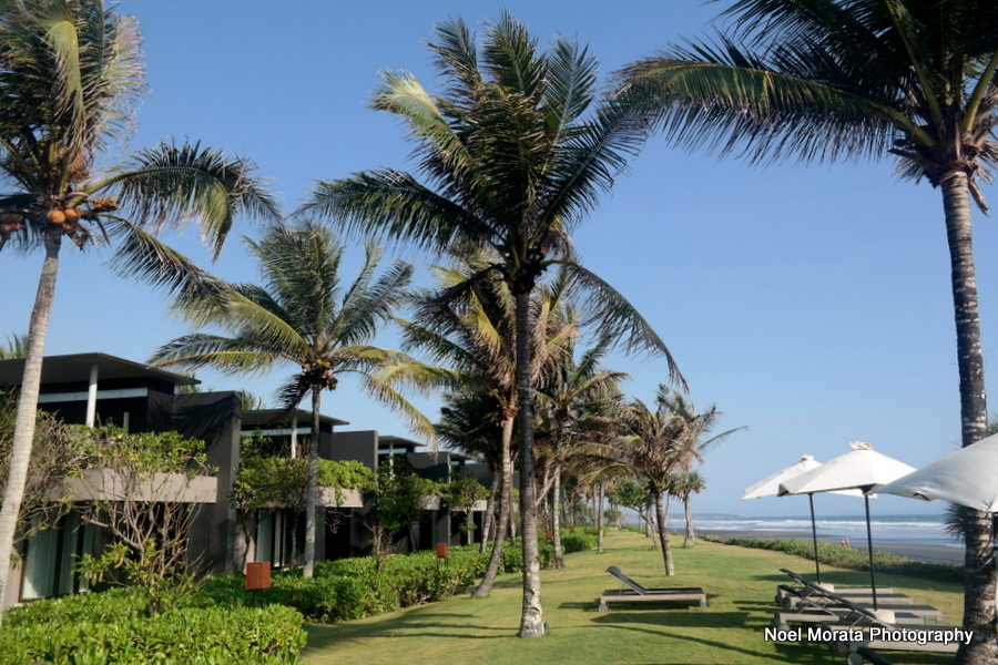 Grassy expanse and beach - Alila Hotel and journey 