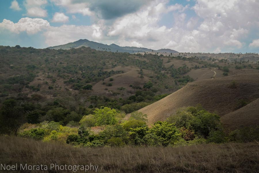 Grassy chaparral areas to the peak - Visiting Komodo National Park