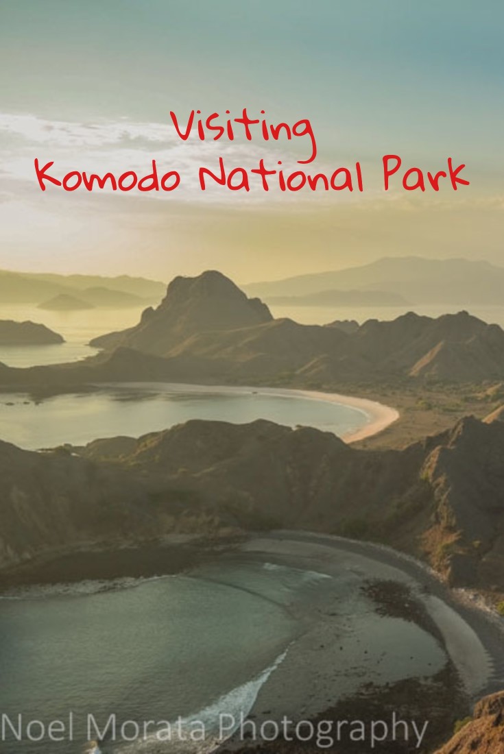 Visiting Komodo National Park